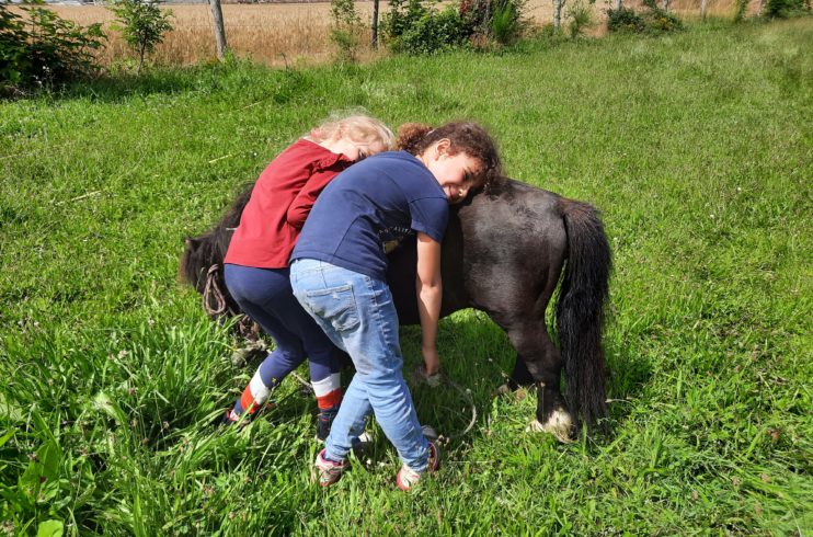 Rencontre avec les poneys