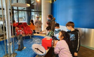 Les enfants expérimentent à la Cité des Sciences