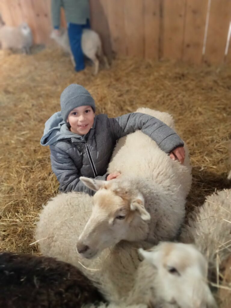 Des vacances de Noël sous le signe de la découverte et du plaisir d’apprendre