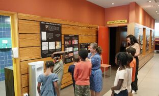 Une matinée à la bibliothèque : une aventure ludique et culturelle